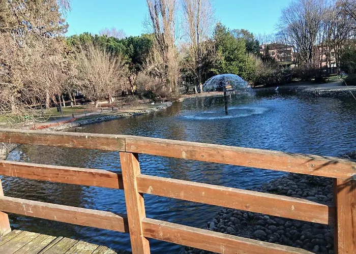 Monolocale Liola Mestre