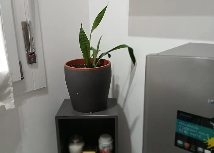 Monolocale Liola 公寓 梅斯特雷